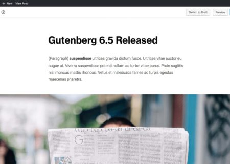 Gutenberg 65 1 450X320